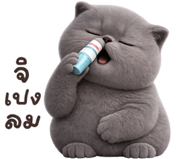 ลายที่ 5