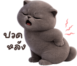 ลายที่ 9