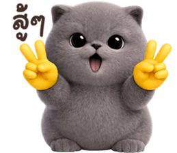 ลายที่ 11