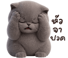 ลายที่ 19