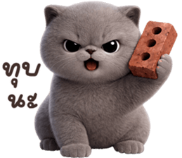 ลายที่ 21