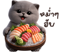 ลายที่ 23