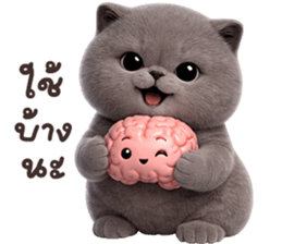 ลายที่ 25