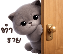 ลายที่ 33