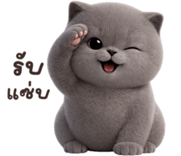 ลายที่ 37