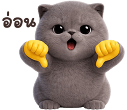 ลายที่ 39