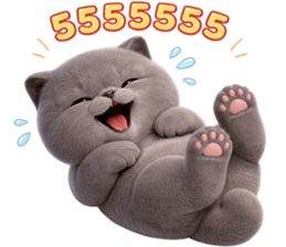 ลายที่ 43