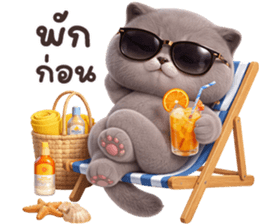 ลายที่ 45