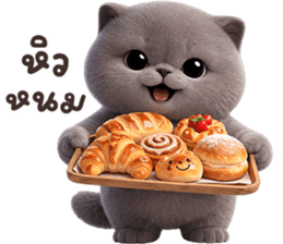 ลายที่ 47