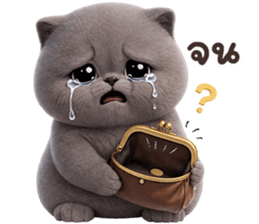 ลายที่ 49