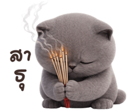 ลายที่ 55