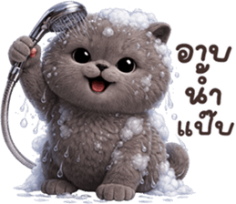 ลายที่ 63