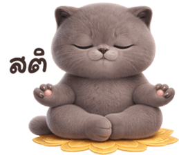 ลายที่ 67