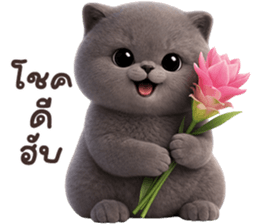 ลายที่ 69