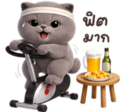 ลายที่ 71