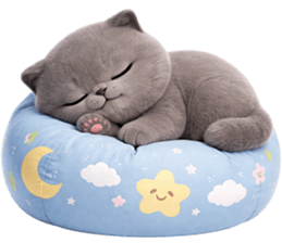 ลายที่ 79