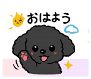 833237321