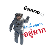 833254682