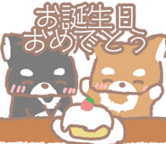833258144
