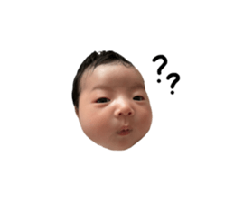 833262104