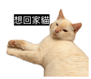 833271703