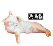 833271707