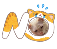 833271709