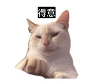 833271713