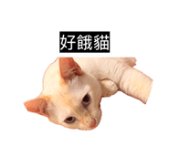 833271718