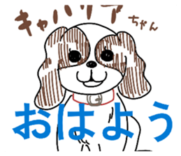 833274881