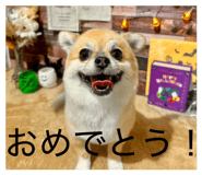833278438