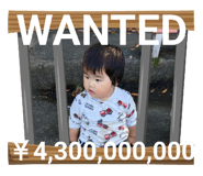 833281657