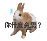 833283122