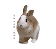 833283130