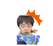 833285315