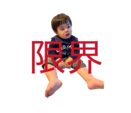 833285323