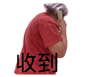833290066