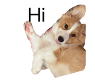 833292345