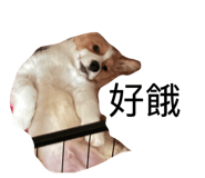 833292352