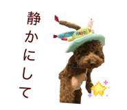 833300409