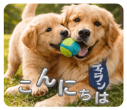833300589