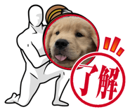 833300600