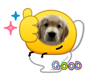833300604