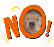 833300609