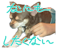 833301241