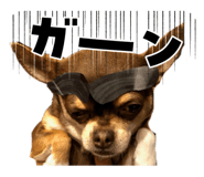833301256