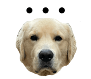 833301389