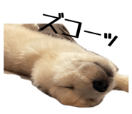 833301398