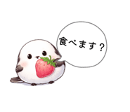 833302162