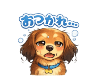 833303746